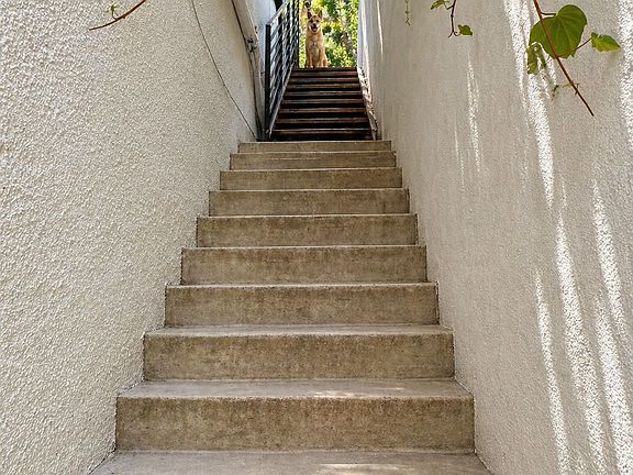 3rd image of 13952 Valley Vista Blvd
