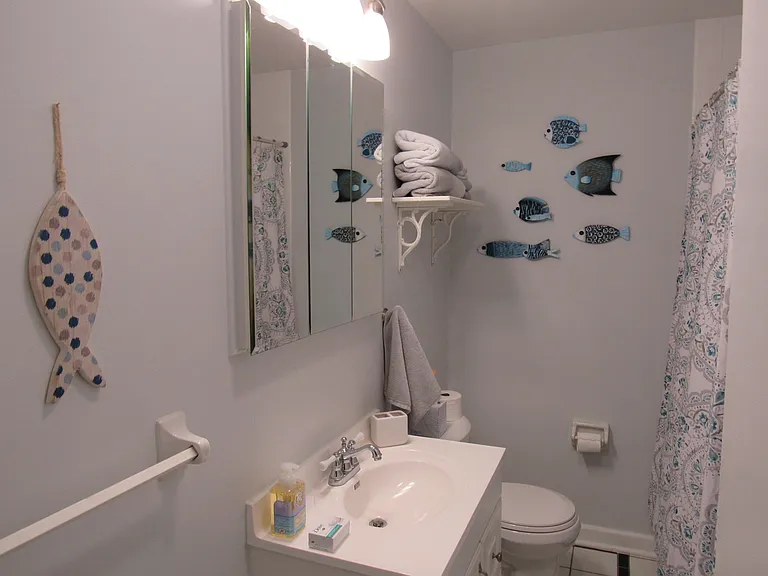 Hall bath