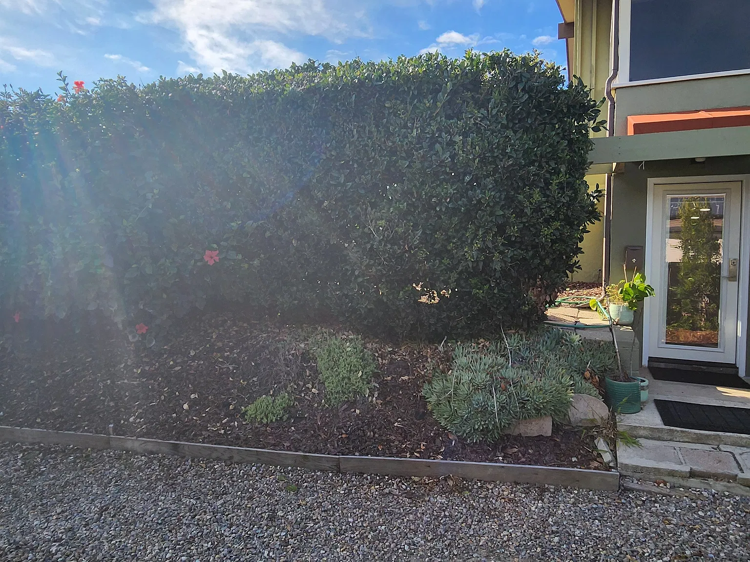 1 bed, 605 sqft, $3,195 — Photo 4