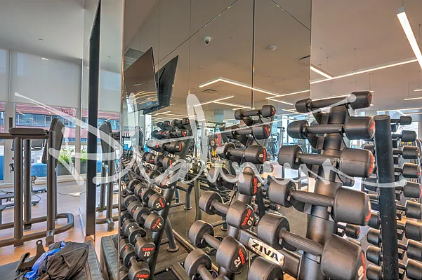 Rented by Platinum Properties | media 25