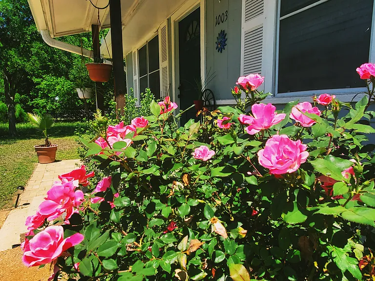 1003 Bugg Ln — Photo 2
