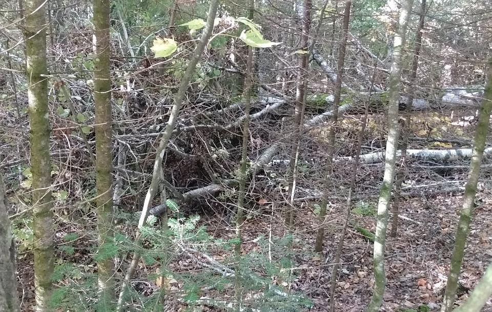 1st image of 22-1813 Moonshine Valley Rd