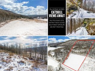 Betty Brook Rd Lot 16, South Kortright, NY 13842