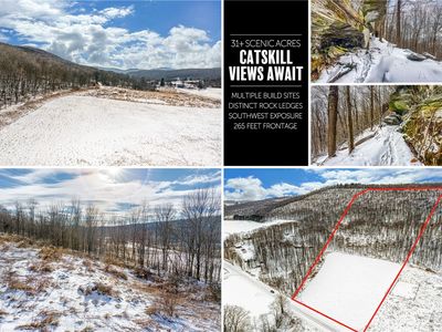 Betty Brook Rd Lot 16, South Kortright, NY, 13842