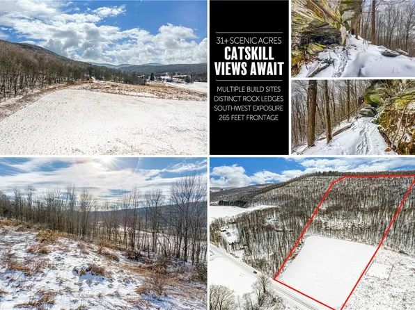 Betty Brook Rd Lot 16, South Kortright, NY 13842