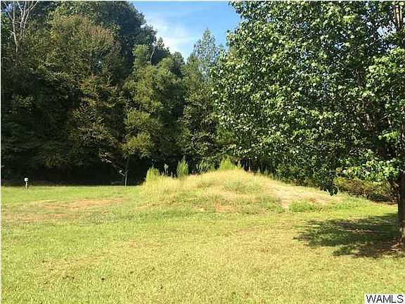 5th image of 11829 Park Forest Trce