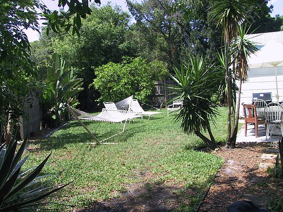 backyard2