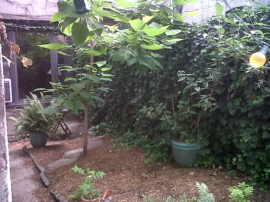 Rented by Realty Collective | media 12