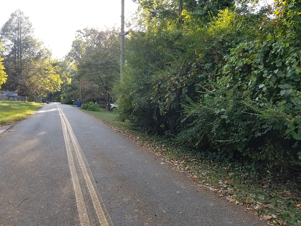 2nd image of 0 Palmer Ave