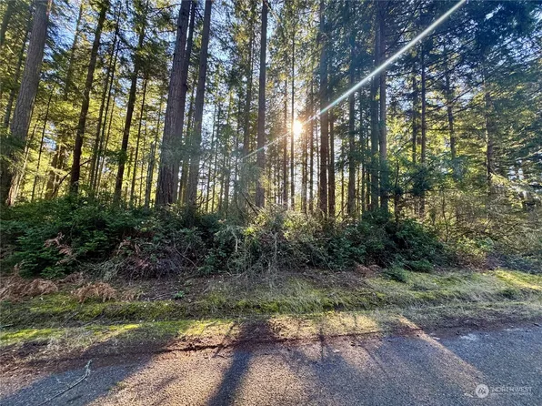 11208 Juniper Place, Anderson Island, WA 98303