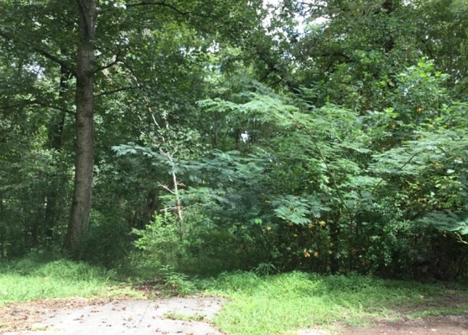 2nd image of 297 Dover Chapel Rd