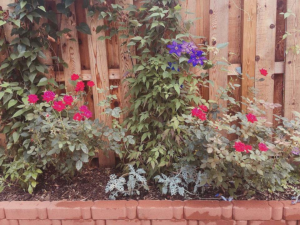 Landscaping outside fence