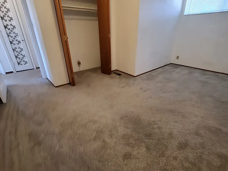 906 Balra Dr — Photo 6