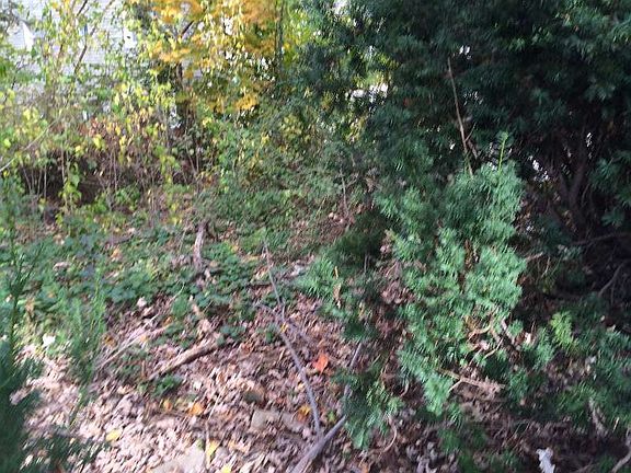 2nd image of 2881 Lamport Pl