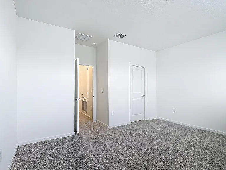 2433 Spring Tune Aly — Photo 23
