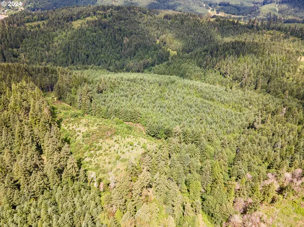 Curtin Rd, Cottage Grove, OR 97424