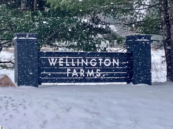 Arthur Ct #99, Williamsburg, MI 49690