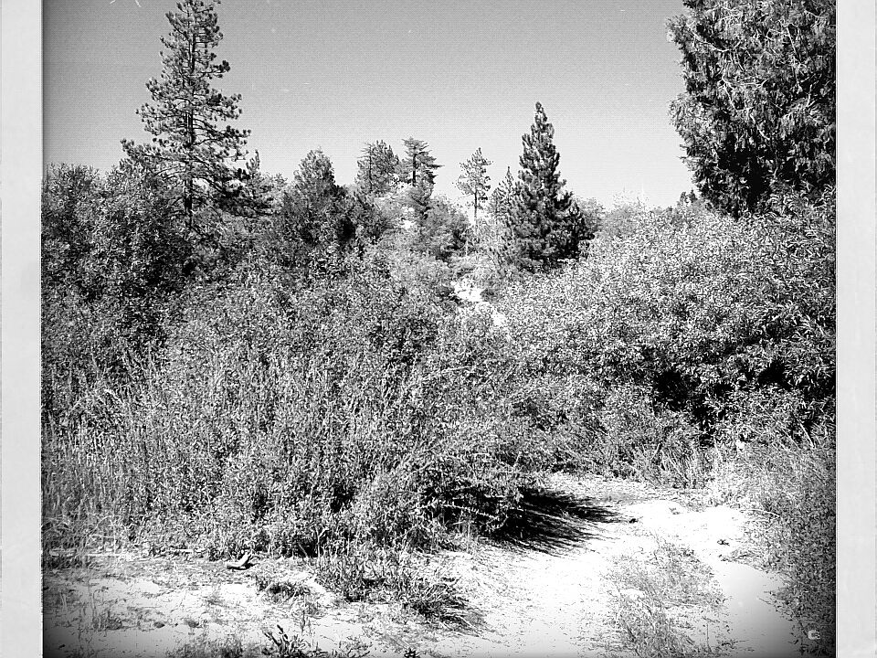 2nd image of Stone Dr
