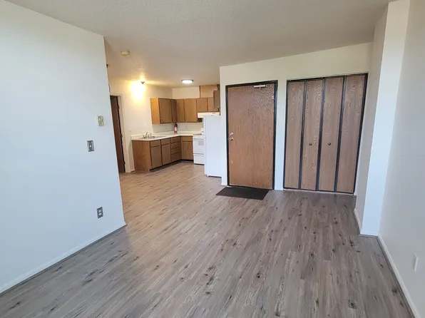 313 N Riverfront Dr #1, Mankato, MN 56001