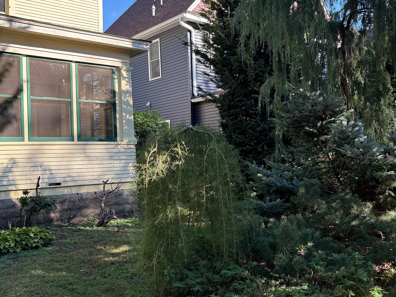 3 bed, 1268 sqft, $2,300 — Photo 4