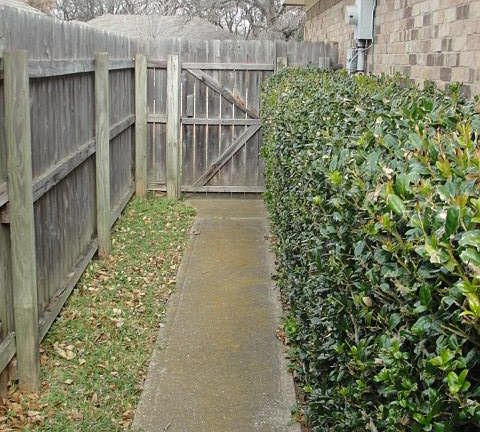 Side yard to gate