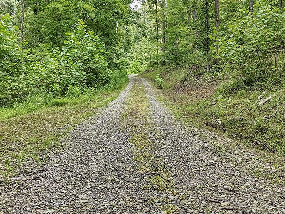 4th image of 57859 N Branch Rd