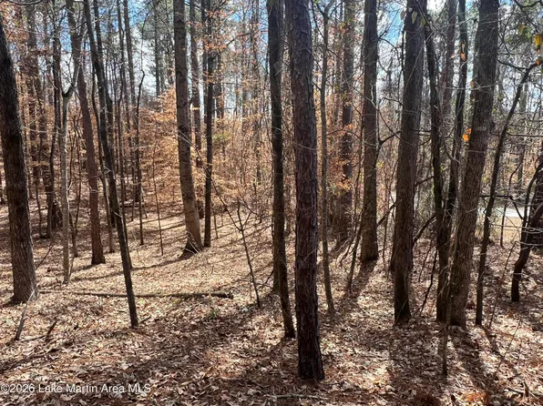 2 Knollwood, Dadeville, AL 36853