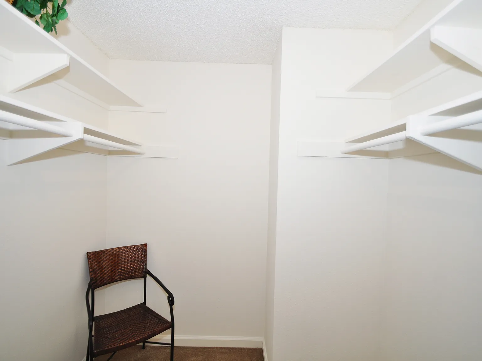 The Hills — Photo 4