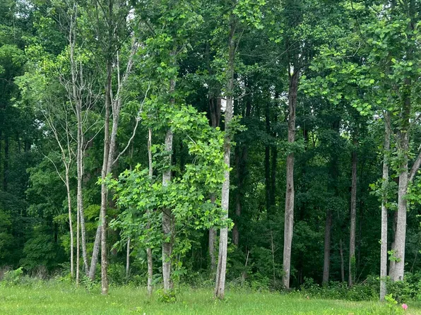 Big Springs Rd, Maryville, TN 37801