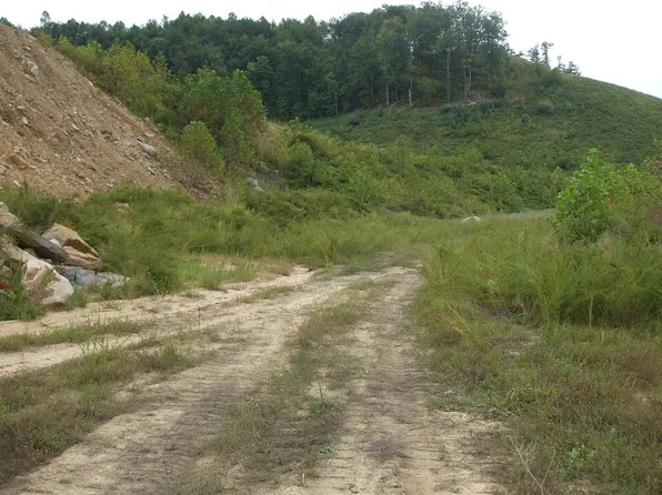 0 Jake Wireman Fork Rd #267, Gunlock, KY 41632