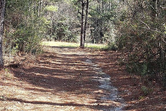 3rd image of 00 Old Highway 49