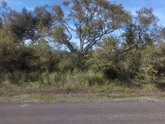 3rd image of 94 Green Oak Ln