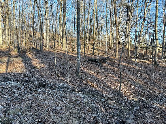 3rd image of 1028 S Dogwood Dr
