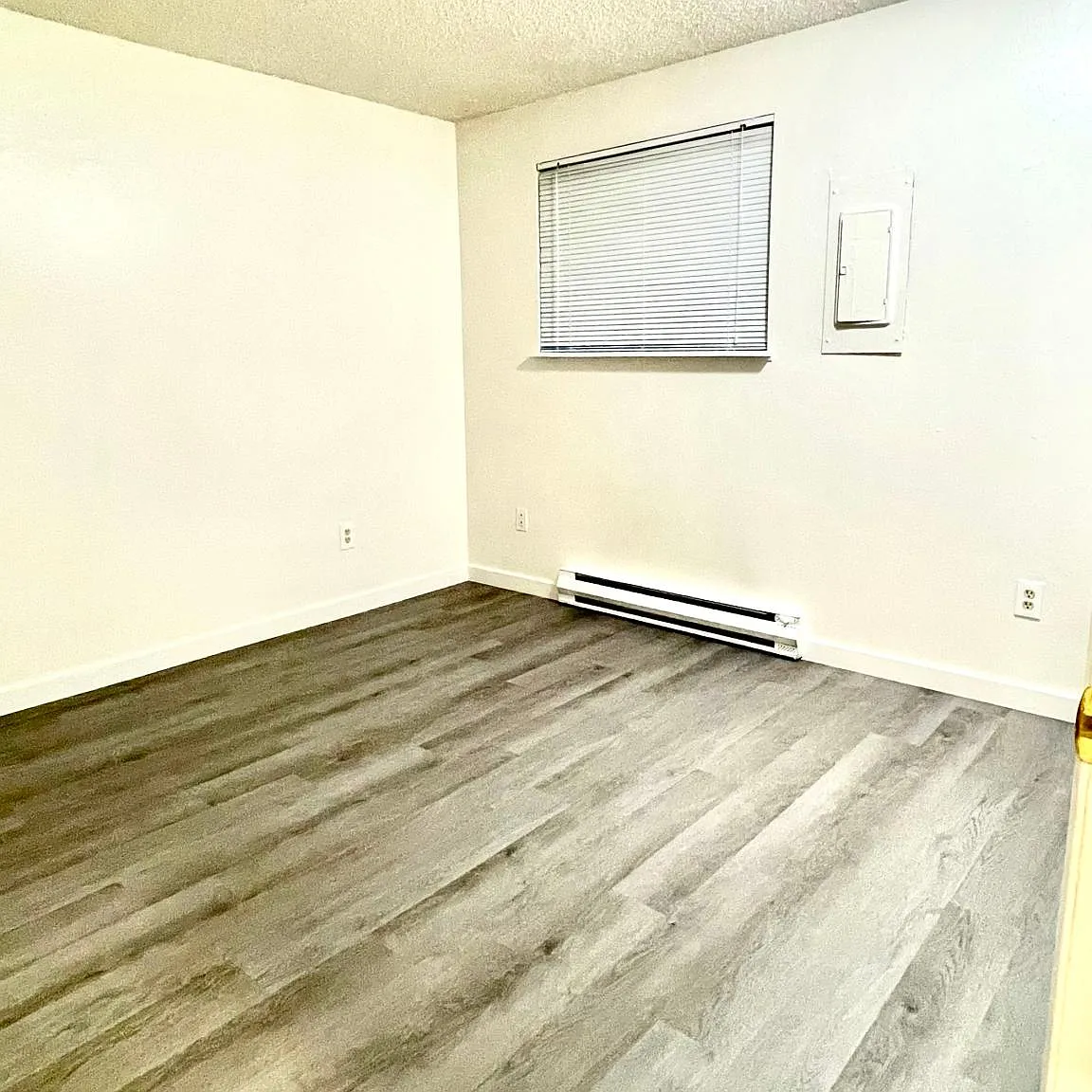 3 bed, 1162 sqft, $2,600 — Photo 4