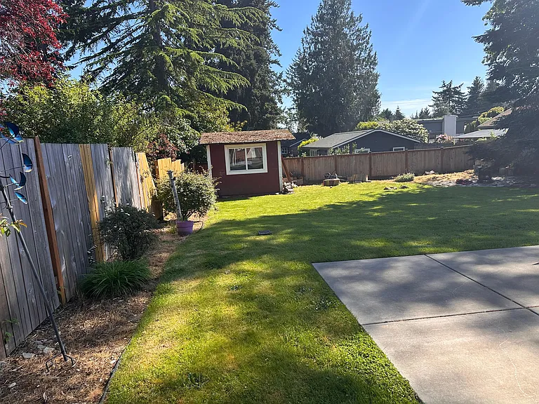 Spacious, level, backyard with shed, mature trees and native plants, and a new patio.