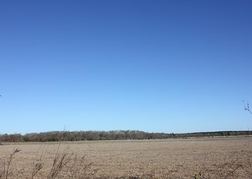 1st image of Pid 38061 Cotton Thompson Rd