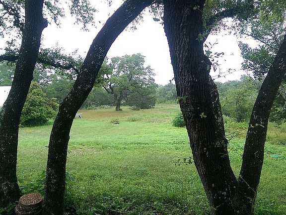 View from guesthouse.