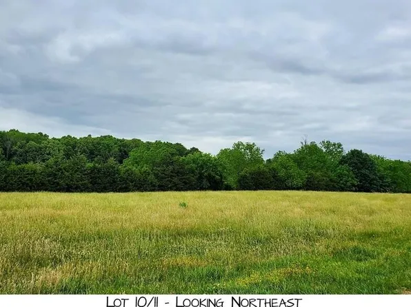 Lot 10 Pleasant View Rd, Brighton, MO 65617