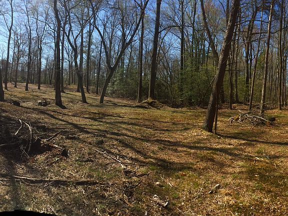 A Very Special Property