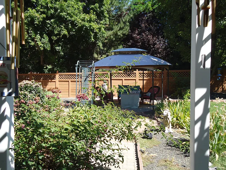 Looking to the backyard from the House