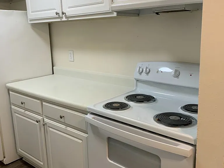 301 Orchard Trace Ln #4 — Photo 9