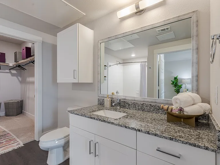 Bathroom With Granite Countertop And Large Mirror