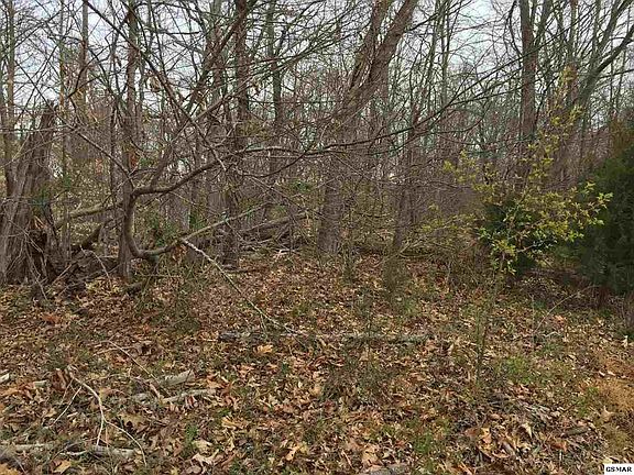 3rd image of 2200 Woods Ridge Rd Lot 0