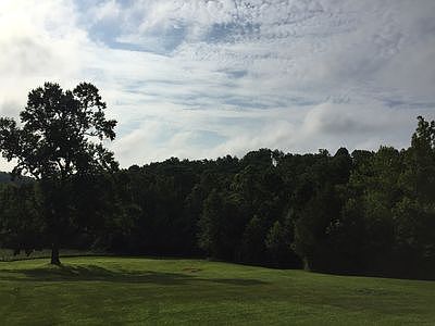 Private Backyard