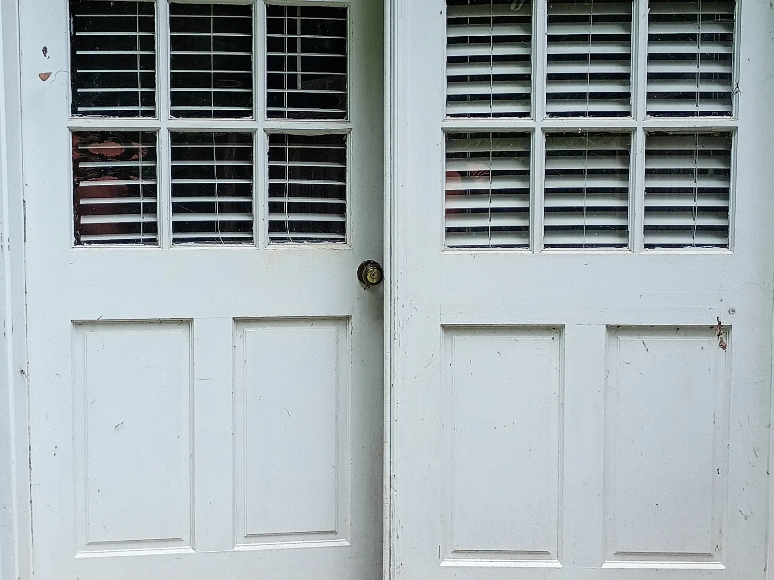 1 bed, 1200 sqft, $1,500 — Photo 2