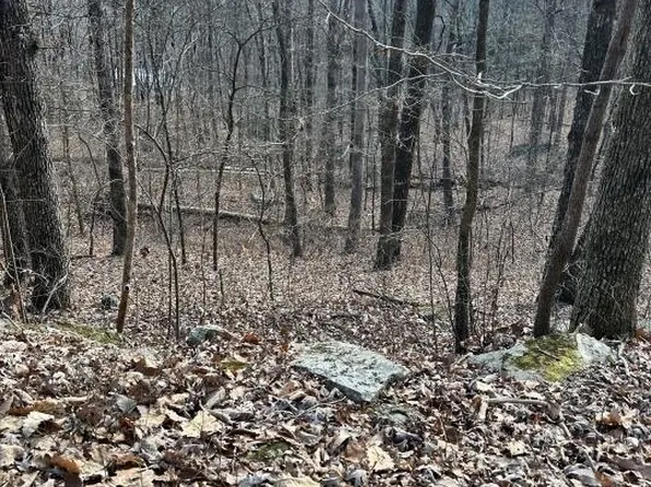 0 Wauka Mountain Ter, Clermont, GA 30527