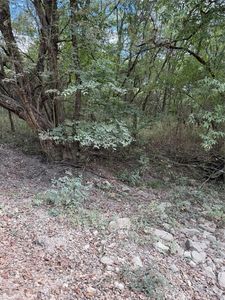 County Road 15160, Blossom, TX, 75416