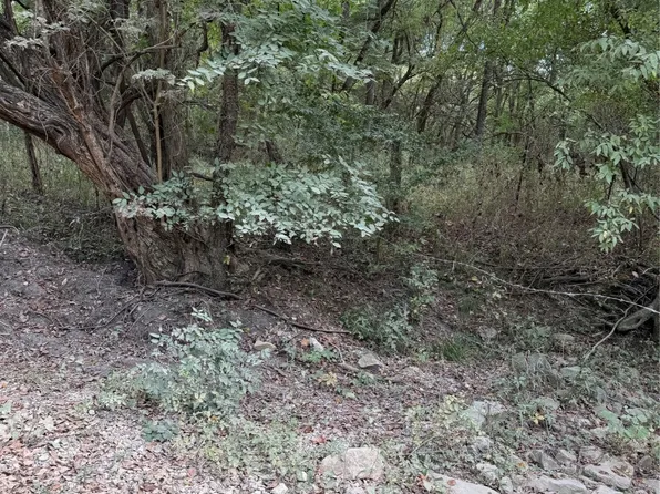 County Road 15160, Blossom, TX 75416