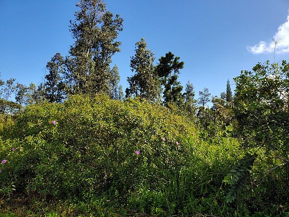 2nd image of 5th Avenue Ekaha Lot 2420