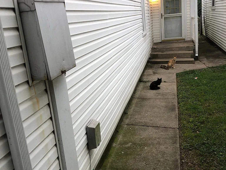 2119 Wilson Ave — Photo 4